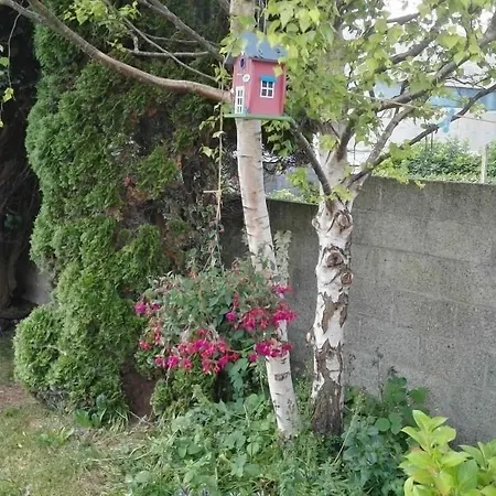 Bed & Breakfast The Vee Guest