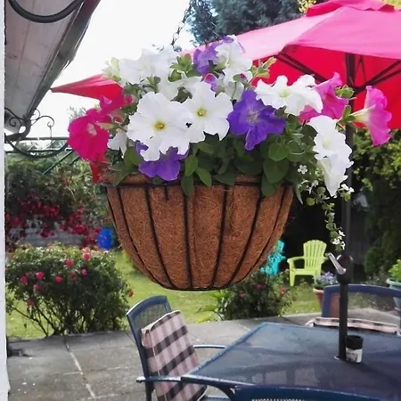 Bed & Breakfast The Vee Guest 3*